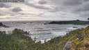 ./images/calvert/foggy-cove/20260528/foggy-cove20260528_191002M.jpg