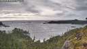 ./images/calvert/foggy-cove/20260528/foggy-cove20260528_192002M.jpg
