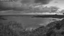 ./images/calvert/foggy-cove/20260529/foggy-cove20260529_044501M.jpg