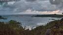 ./images/calvert/foggy-cove/20260529/foggy-cove20260529_050001M.jpg