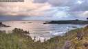 ./images/calvert/foggy-cove/20260529/foggy-cove20260529_060501M.jpg