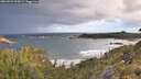 ./images/calvert/foggy-cove/20260529/foggy-cove20260529_062002M.jpg
