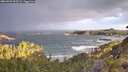 ./images/calvert/foggy-cove/20260529/foggy-cove20260529_062501M.jpg