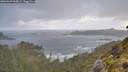 ./images/calvert/foggy-cove/20260529/foggy-cove20260529_064502M.jpg