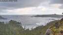 ./images/calvert/foggy-cove/20260529/foggy-cove20260529_065001M.jpg