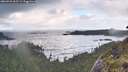 ./images/calvert/foggy-cove/20260529/foggy-cove20260529_065501M.jpg