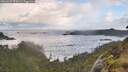 ./images/calvert/foggy-cove/20260529/foggy-cove20260529_070502M.jpg