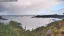 ./images/calvert/foggy-cove/20260529/foggy-cove20260529_072002M.jpg