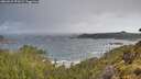 ./images/calvert/foggy-cove/20260529/foggy-cove20260529_073501M.jpg