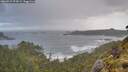 ./images/calvert/foggy-cove/20260529/foggy-cove20260529_074501M.jpg