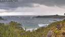 ./images/calvert/foggy-cove/20260529/foggy-cove20260529_081001M.jpg