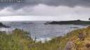 ./images/calvert/foggy-cove/20260529/foggy-cove20260529_081501M.jpg