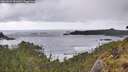 ./images/calvert/foggy-cove/20260529/foggy-cove20260529_082001M.jpg