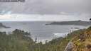 ./images/calvert/foggy-cove/20260529/foggy-cove20260529_082501M.jpg
