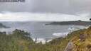 ./images/calvert/foggy-cove/20260529/foggy-cove20260529_083001M.jpg