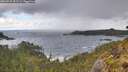 ./images/calvert/foggy-cove/20260529/foggy-cove20260529_083501M.jpg