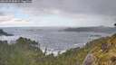 ./images/calvert/foggy-cove/20260529/foggy-cove20260529_084001M.jpg