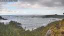 ./images/calvert/foggy-cove/20260529/foggy-cove20260529_084501M.jpg