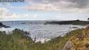 ./images/calvert/foggy-cove/20260529/foggy-cove20260529_085001M.jpg