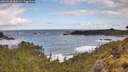 ./images/calvert/foggy-cove/20260529/foggy-cove20260529_090501M.jpg