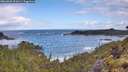 ./images/calvert/foggy-cove/20260529/foggy-cove20260529_091001M.jpg