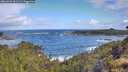 ./images/calvert/foggy-cove/20260529/foggy-cove20260529_091502M.jpg