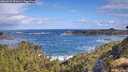 ./images/calvert/foggy-cove/20260529/foggy-cove20260529_092001M.jpg