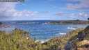 ./images/calvert/foggy-cove/20260529/foggy-cove20260529_092501M.jpg