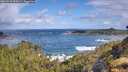 ./images/calvert/foggy-cove/20260529/foggy-cove20260529_093001M.jpg