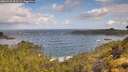 ./images/calvert/foggy-cove/20260529/foggy-cove20260529_093501M.jpg