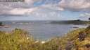 ./images/calvert/foggy-cove/20260529/foggy-cove20260529_094501M.jpg