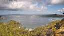 ./images/calvert/foggy-cove/20260529/foggy-cove20260529_095501M.jpg