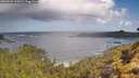 ./images/calvert/foggy-cove/20260529/foggy-cove20260529_100501M.jpg