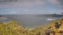 ./images/calvert/foggy-cove/20260529/foggy-cove20260529_102501M.jpg