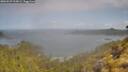 ./images/calvert/foggy-cove/20260529/foggy-cove20260529_103001M.jpg