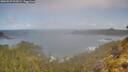 ./images/calvert/foggy-cove/20260529/foggy-cove20260529_103501M.jpg