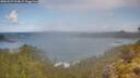 ./images/calvert/foggy-cove/20260529/foggy-cove20260529_104002M.jpg