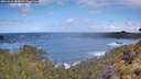 ./images/calvert/foggy-cove/20260529/foggy-cove20260529_105001M.jpg