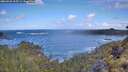 ./images/calvert/foggy-cove/20260529/foggy-cove20260529_105501M.jpg