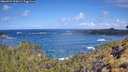 ./images/calvert/foggy-cove/20260529/foggy-cove20260529_110002M.jpg