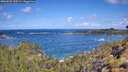 ./images/calvert/foggy-cove/20260529/foggy-cove20260529_110501M.jpg