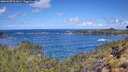 ./images/calvert/foggy-cove/20260529/foggy-cove20260529_111001M.jpg
