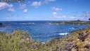 ./images/calvert/foggy-cove/20260529/foggy-cove20260529_111501M.jpg