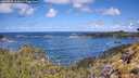 ./images/calvert/foggy-cove/20260529/foggy-cove20260529_112001M.jpg