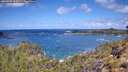 ./images/calvert/foggy-cove/20260529/foggy-cove20260529_112501M.jpg