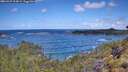 ./images/calvert/foggy-cove/20260529/foggy-cove20260529_113002M.jpg
