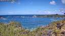 ./images/calvert/foggy-cove/20260529/foggy-cove20260529_113501M.jpg