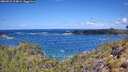 ./images/calvert/foggy-cove/20260529/foggy-cove20260529_114001M.jpg