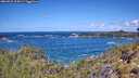 ./images/calvert/foggy-cove/20260529/foggy-cove20260529_114501M.jpg