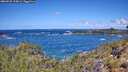 ./images/calvert/foggy-cove/20260529/foggy-cove20260529_115001M.jpg